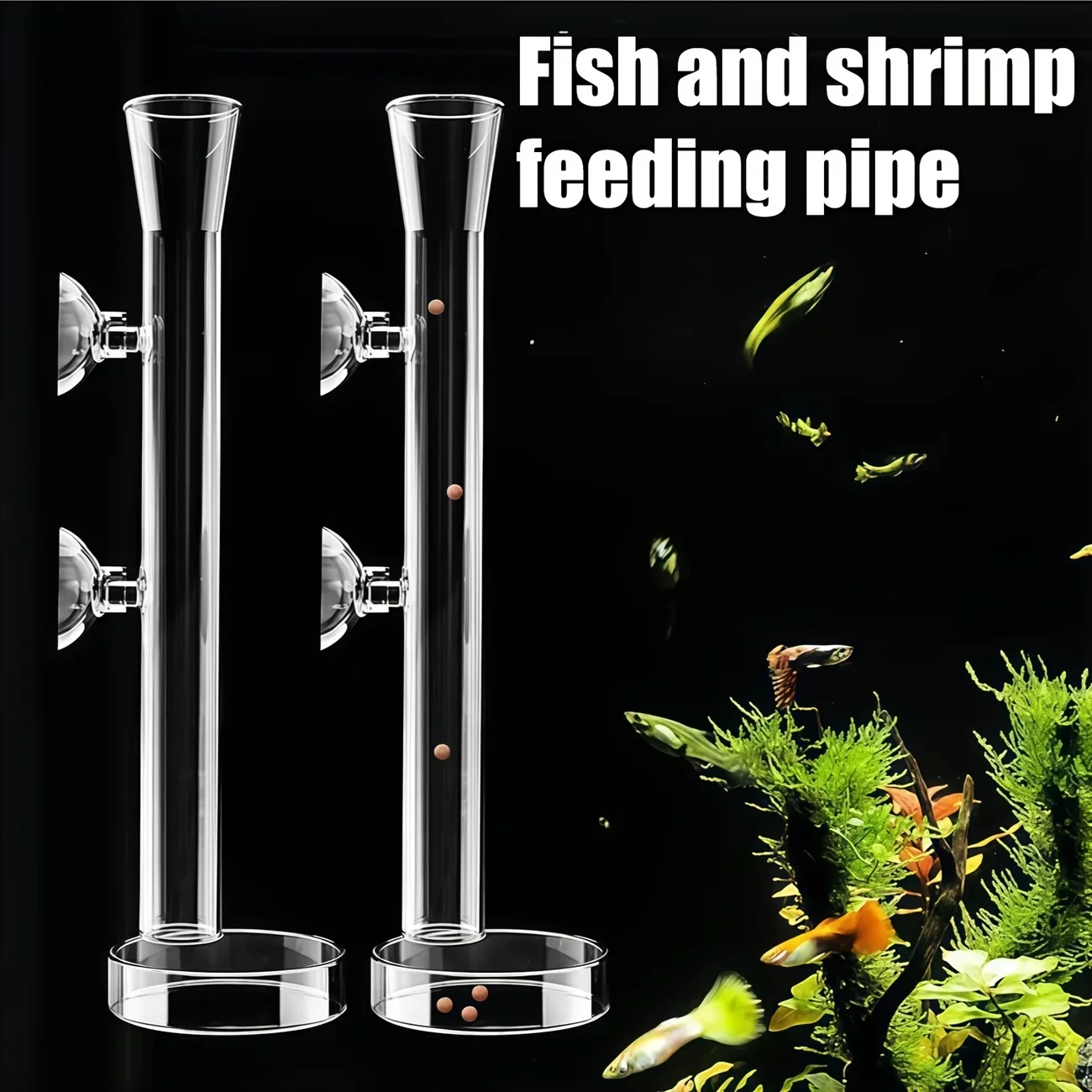 Aquarium Plant Red - A Top Quality Aquarium Glass Feeding
