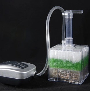 xinyou xy-2011 Fish Tank Aquar - Aquarium Plant Ideas review and price