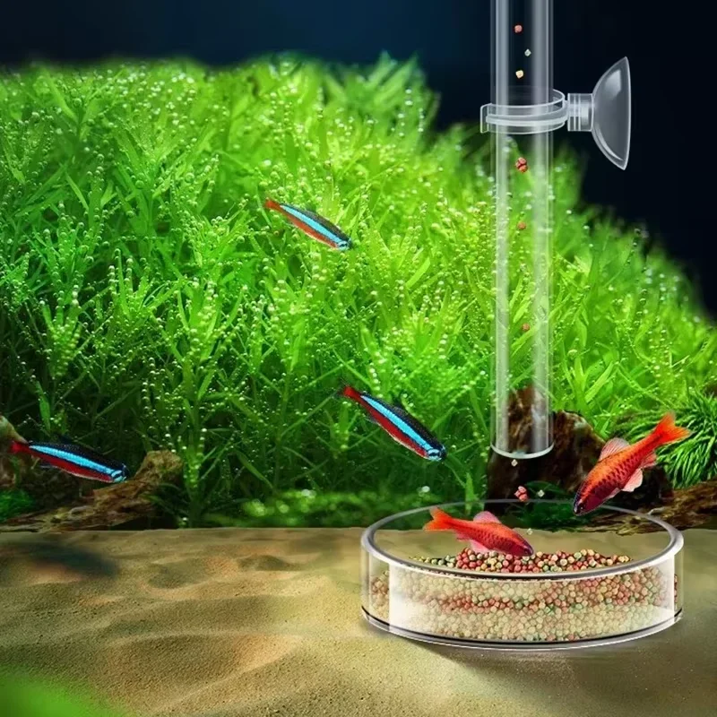 Aquarium Glass Feeding Tube &  - Aquarium Plant Red review and price