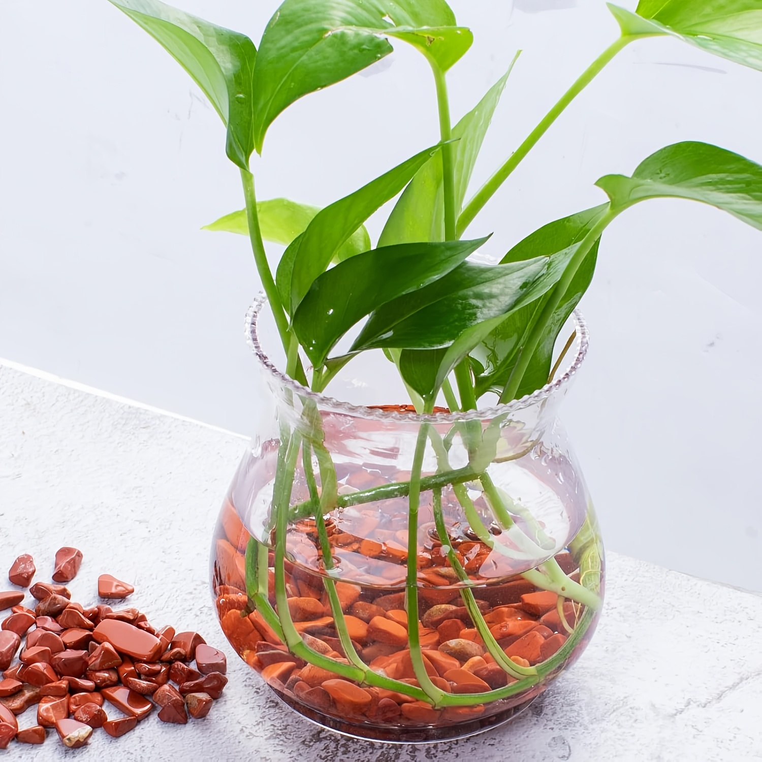 Red jasper tumbled stone -natu - Aquarium Plant Red review and price