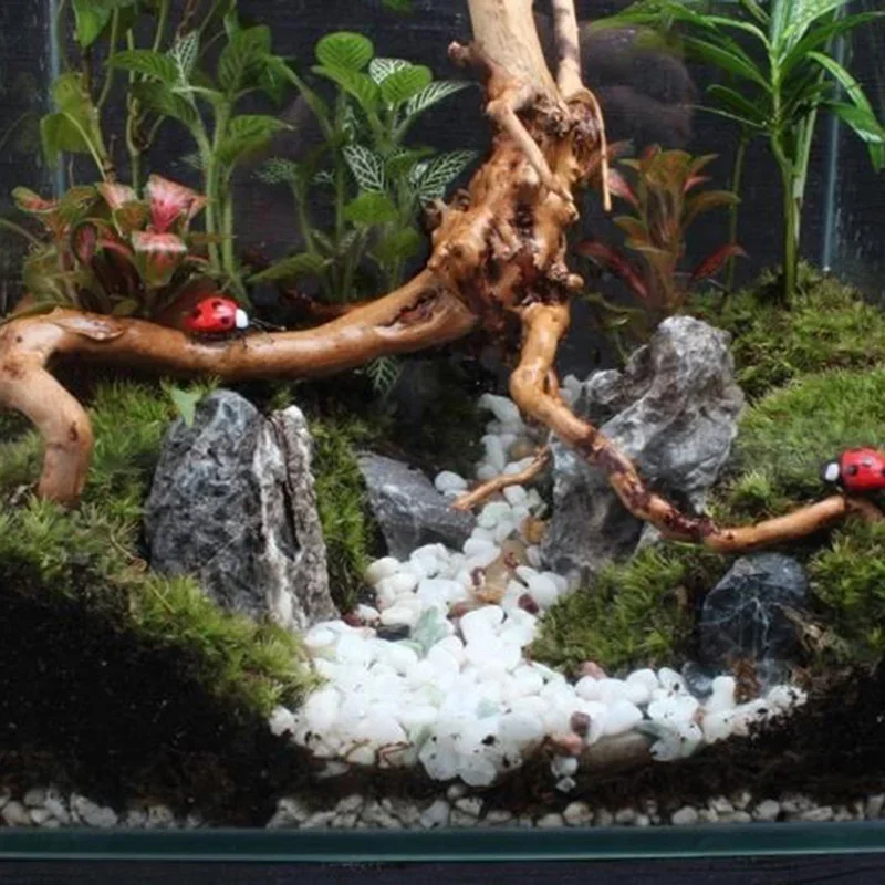 Natural Tree Trunk Driftwood A - Aquarium Planted Tree review and price