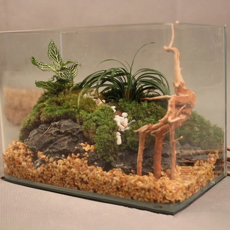 Natural Tree Trunk Driftwood A - Aquarium Planted Tree review and price