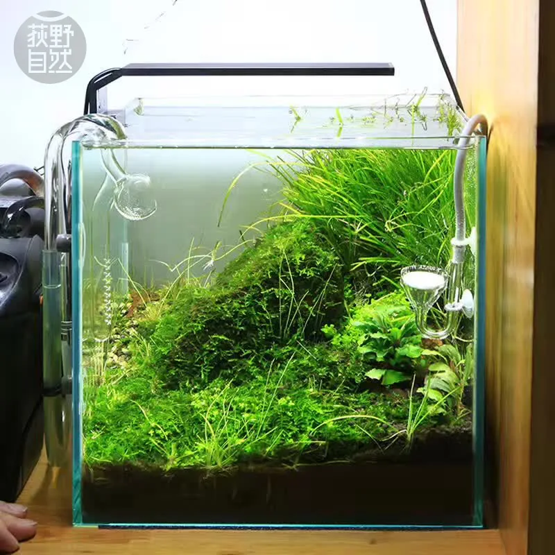Chihiros C Series ADA Style Pl - Aquarium Plant Growth Light review and price