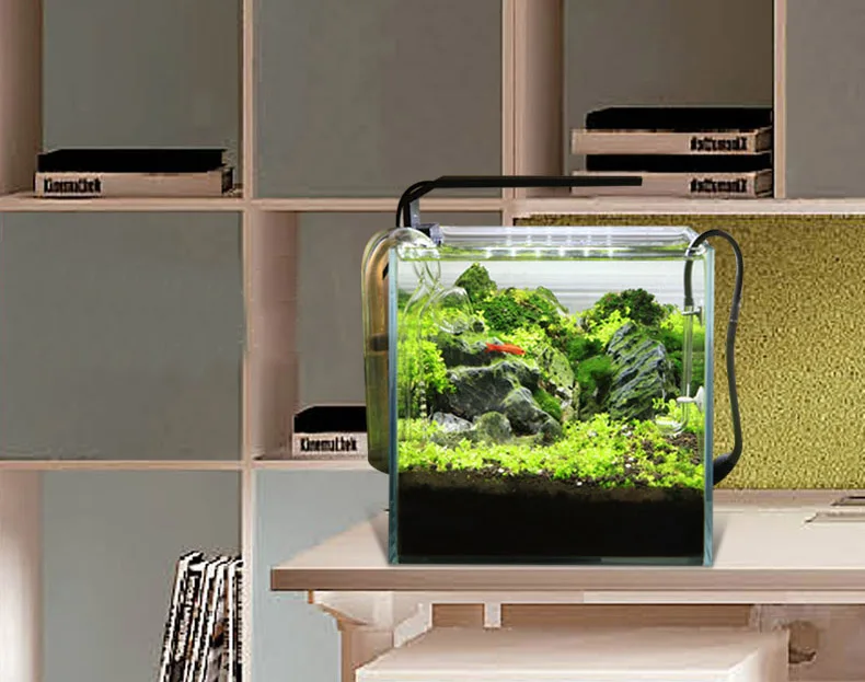 Chihiros C Series ADA Style Pl - Aquarium Plant Growth Light review and price