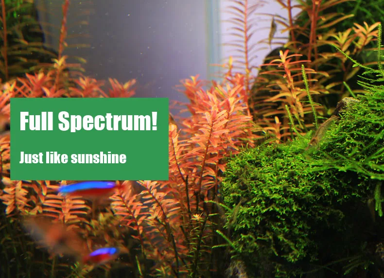 Chihiros C Series ADA Style Pl - Aquarium Plant Growth Light review and price