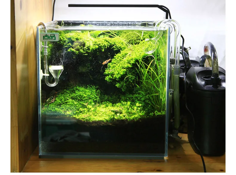 Chihiros C Series ADA Style Pl - Aquarium Plant Growth Light review and price