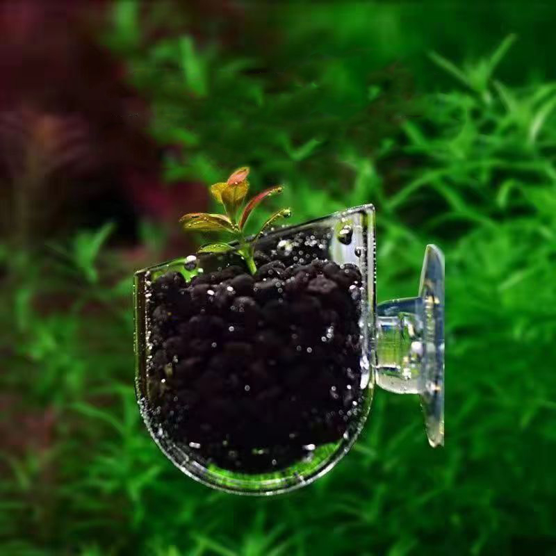Fish Tank Red Worm Feeder Cup  - Aquarium Plant Red review and price