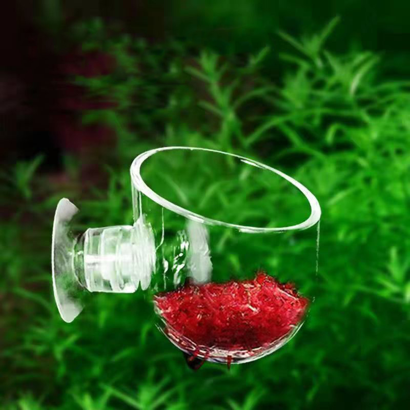 Fish Tank Red Worm Feeder Cup  - Aquarium Plant Red review and price