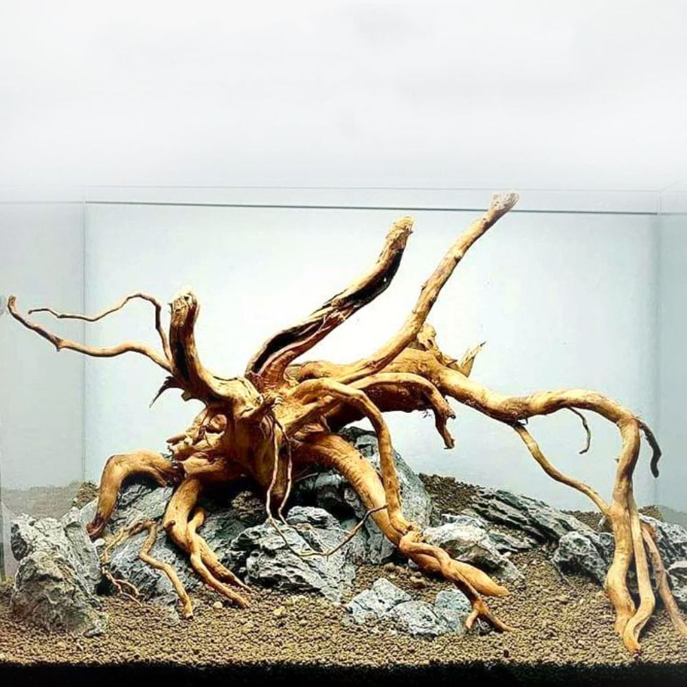 Natural Tree Trunk Aquarium De - Aquarium Planted Tree review and price