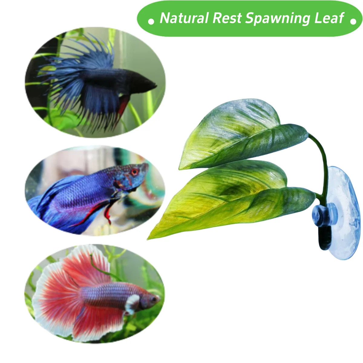 Pets Fish Tank Decor Betta Rel - Aquarium Planted Tree review and price
