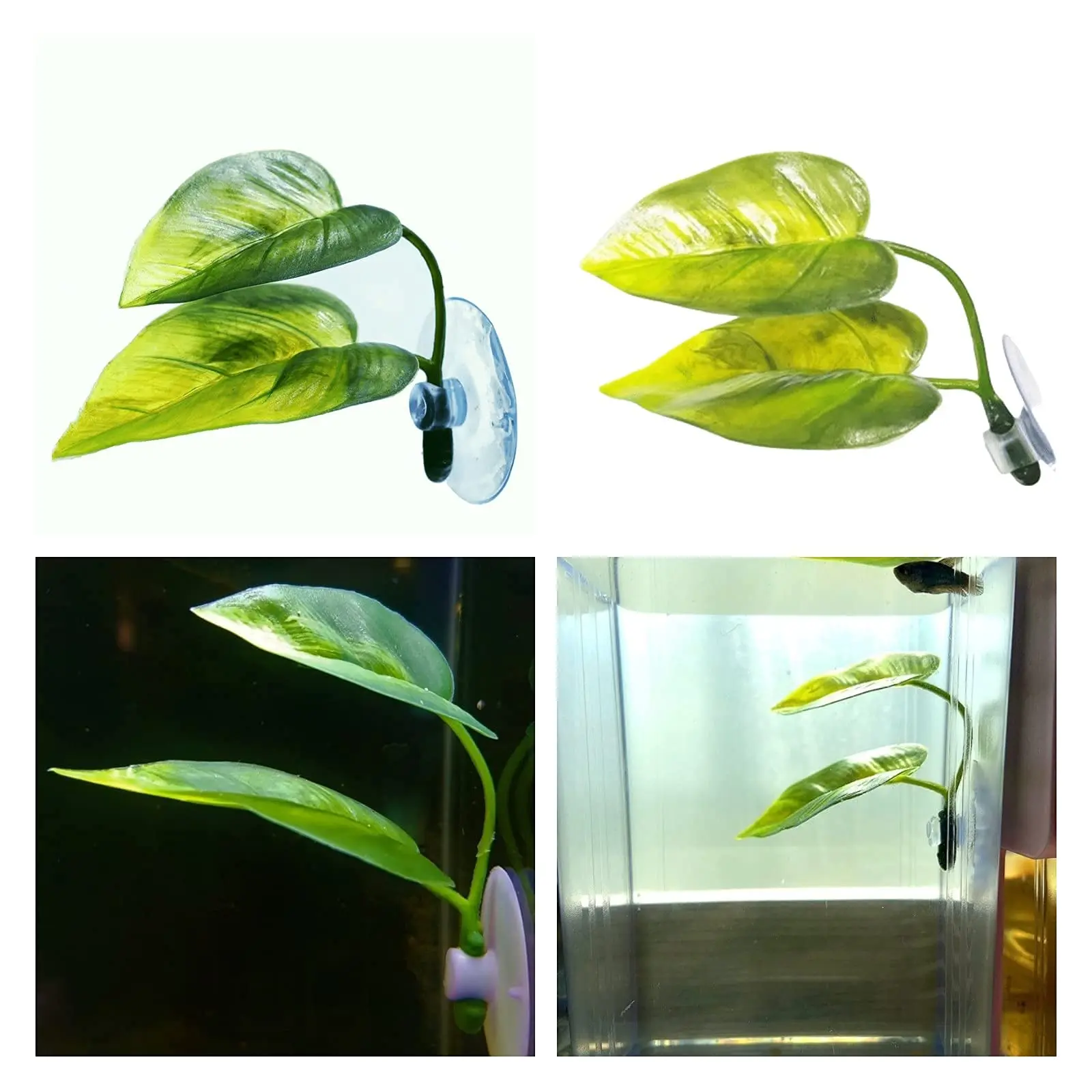 Pets Fish Tank Decor Betta Rel - Aquarium Planted Tree review and price