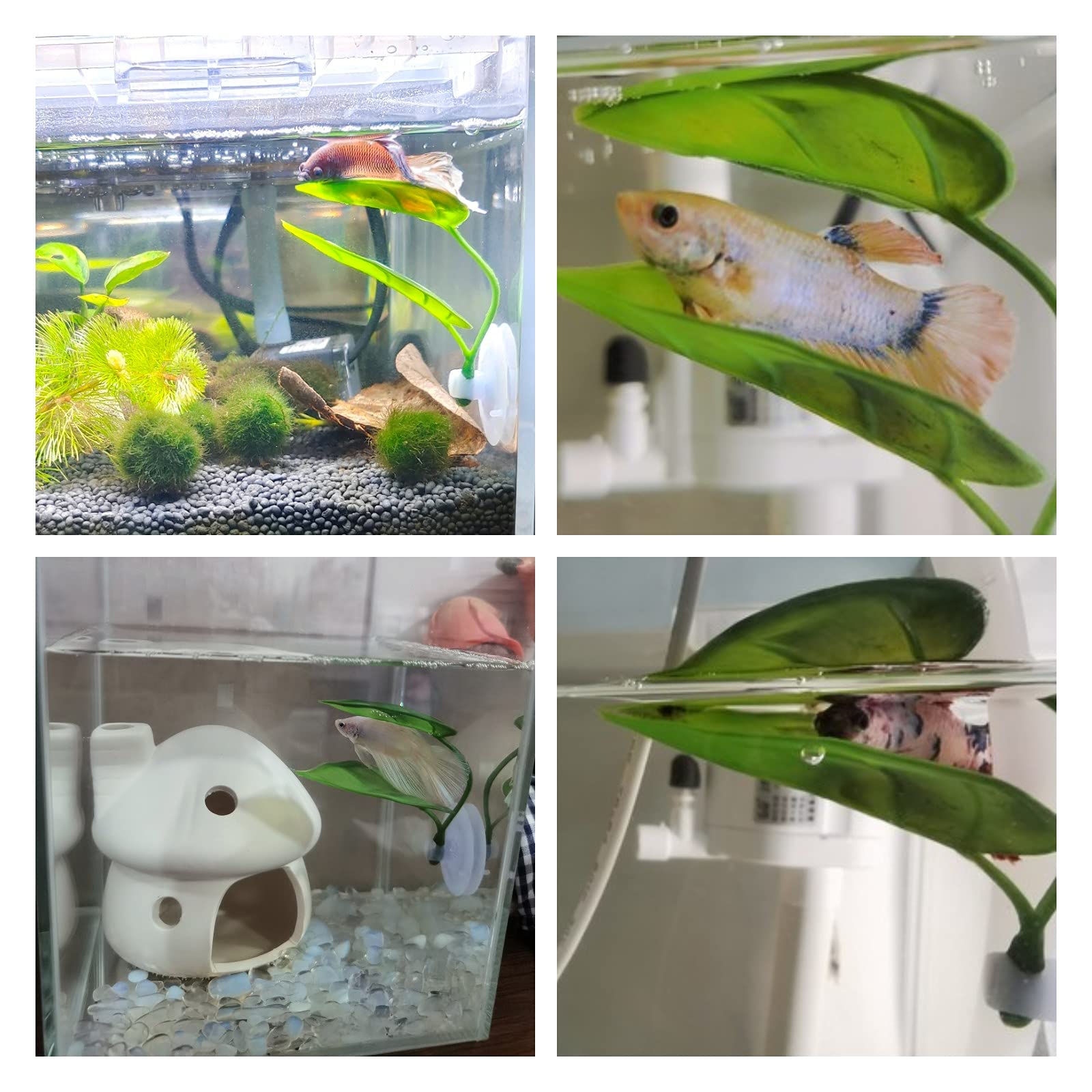 Pets Fish Tank Decor Betta Rel - Aquarium Planted Tree review and price