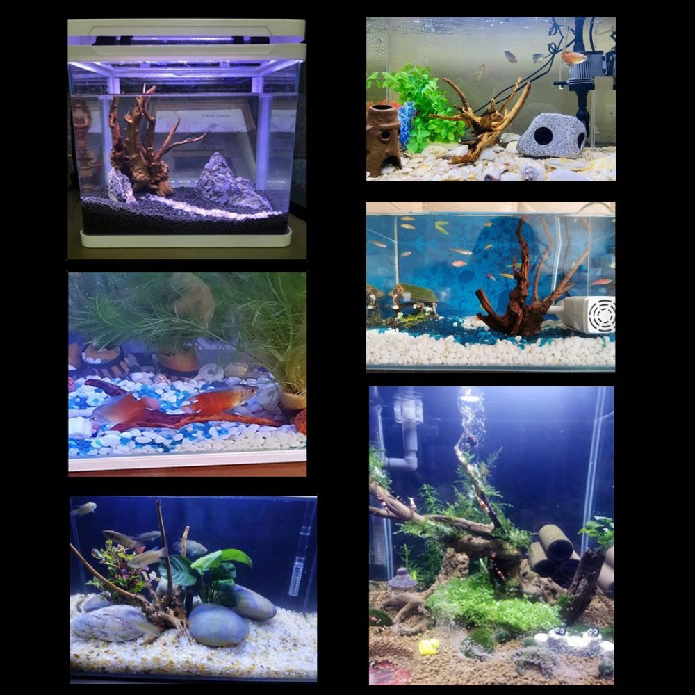 20-25CM Large Aquarium Driftwo - Aquarium Planted Tree review and price
