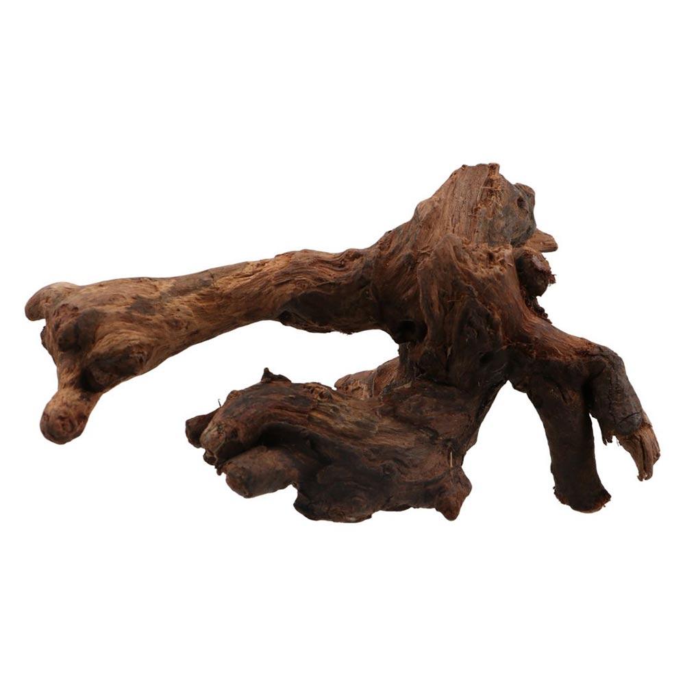Creative Irregular Shape Coral - Aquarium Planted Tree review and price