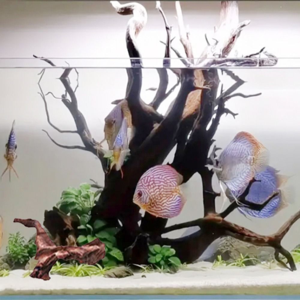Creative Irregular Shape Coral - Aquarium Planted Tree review and price