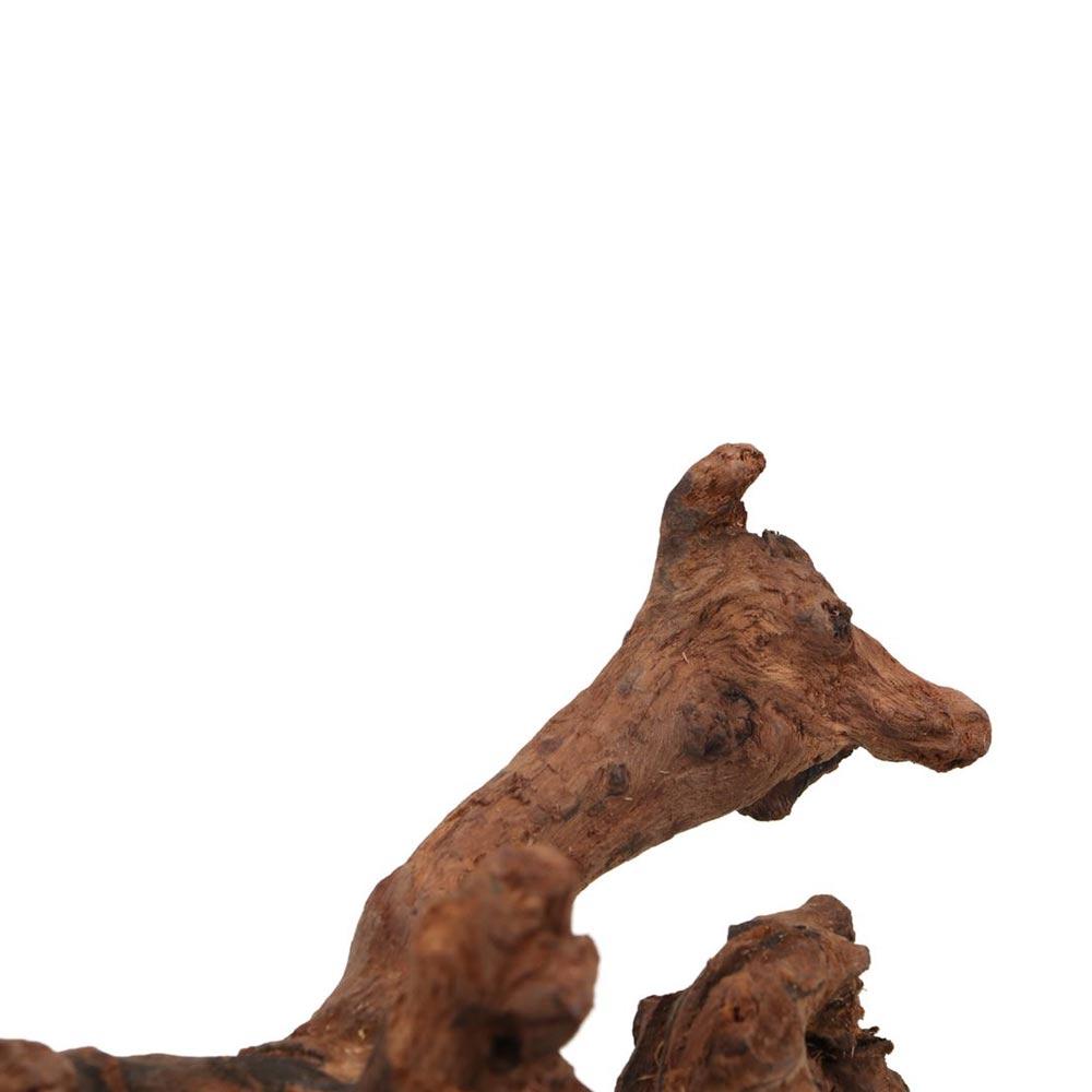 Creative Irregular Shape Coral - Aquarium Planted Tree review and price
