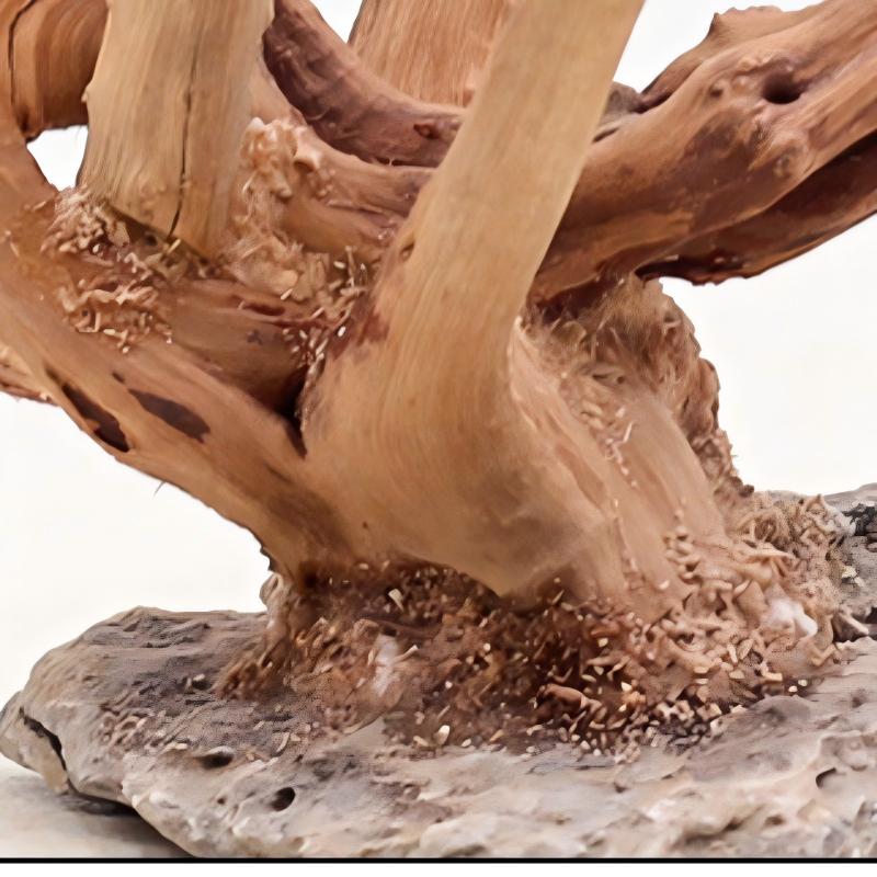 1PC Aquarium Landscaping Wood  - Aquarium Planted Tree review and price