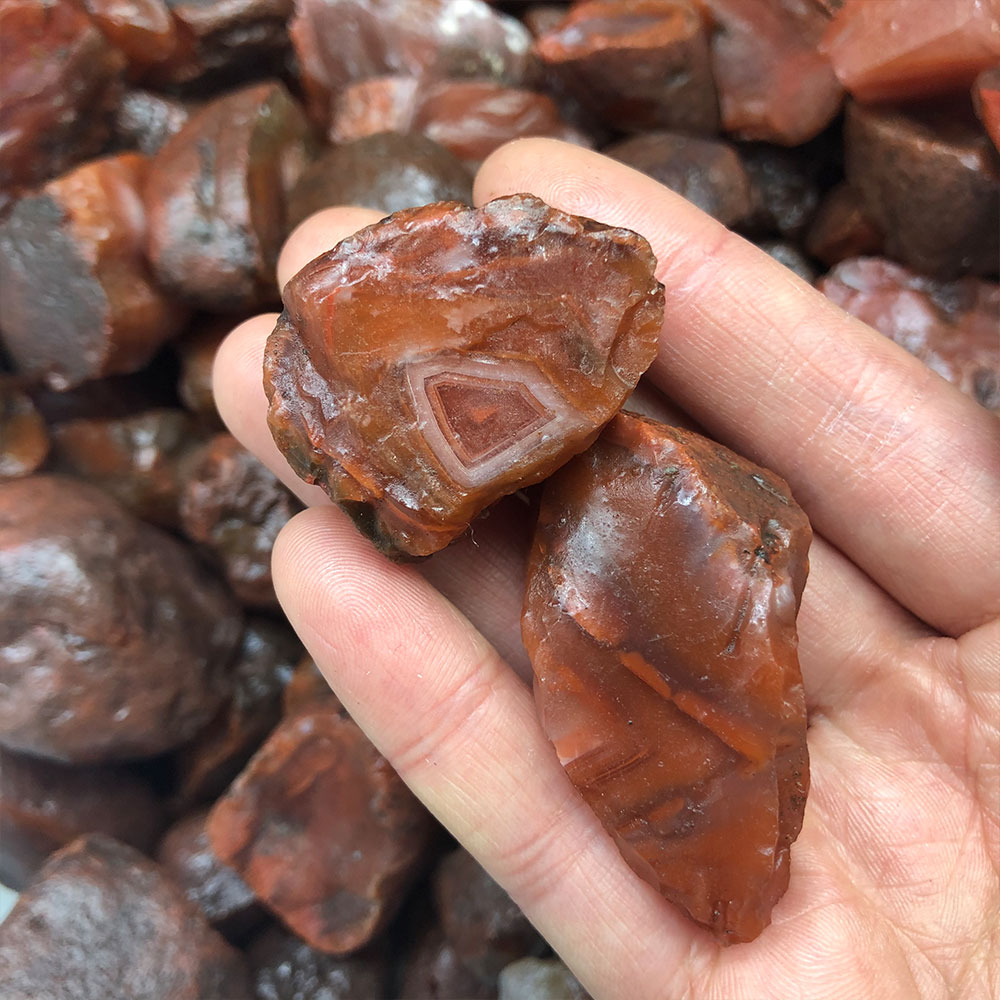 1pc Random Rough Raw Carnelian - Aquarium Plant Red review and price